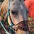 Deanna Mock's profile image