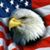 Lesia Bradley Hicks's profile image