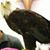 Bill Christen's profile image