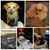 Kelly Parker Miller's profile image