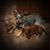 Susan Jewell Akers's profile image