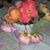 Kelle Lane's profile image