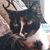 Rachel Aguirre's profile image
