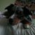 Lance Isler's profile image