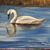 Bonnie Ohmstead's profile image