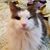 Lisa M. Novak Owens's profile image