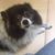 Kimberly McCarthy's profile image