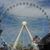 Carlene J. Hickman's profile image