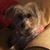 Kesha Luann Dixon's profile image