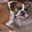 Faye Leerentveld's profile image