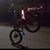 Timothy Kelly's profile image