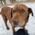 Candice Rose Rogers-Edwards's profile image