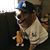 Jo Ann Mc Clure's profile image