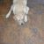 Jerry McBroom's profile image