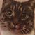 Hans-Peter van Heusden's profile image