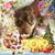Linda Pratt's profile image