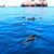 Kelly Alison Denger's profile image