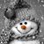 Christine Eckel's profile image