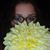Erin Matzenbacher's profile image