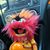 Byron McDonald's profile image