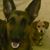 Lisa Hernandez's profile image