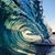 Kelly Evans's profile image