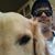 Rob Brown's profile image