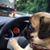 Bentley Bubba-Zippie Gervais's profile image