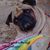 RhondaAnn Martinelli's profile image