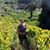 Dayna Halley's profile image