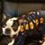 Brandy Willis McQuirt's profile image