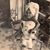 Sheree Secrett's profile image