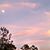 Adriane Roop's profile image