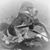 Wood Dawson's profile image