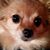 Robyn White's profile image