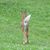 Heidi Marie's profile image
