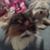 David Muzzy's profile image