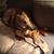 Suzanne Snell's profile image