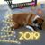 Tracy Davis-savino's profile image