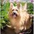 Donna Ross's profile image