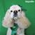 Debbie Massie's profile image