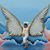 Oralia Jones's profile image