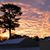 Lori Trievel's profile image