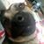 Ernie Norma Phoebe's profile image