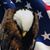 Ray Crawford's profile image