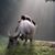 Marlon Caberto Lazo's profile image