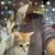 Erlinda Lopez's profile image