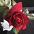 Annie Norwood's profile image