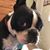 Mondy Boyette's profile image