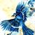 Alan Walshe's profile image